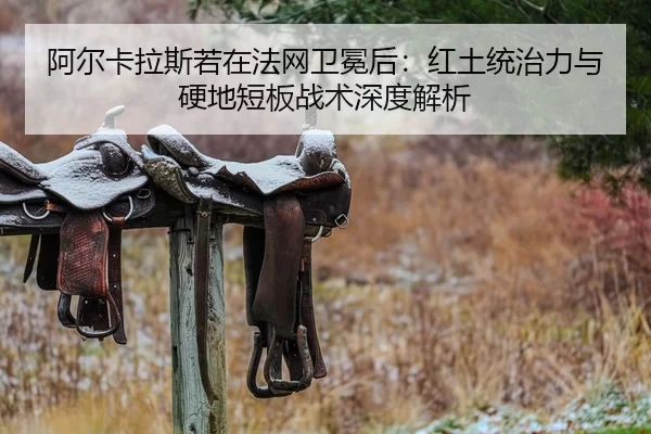 a-er-ka-la-si-ruo-zai-fa-wang-wei-mian-hou-hong-tu-tong-zhi-li-yu-ying-di-duan-ban-zhan-shu-shen-du-jie-xi-2-922.jpg